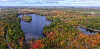 Nature Conservancy of Canada announce conservation of Kingston area land