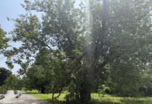 Kingston volunteers replace tents after tornado hits Belle Park encampment
